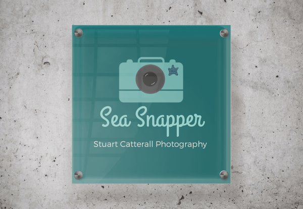 Sea Snapper Photo